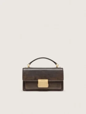 Bolso Venezia pequeño en piel marrón oscuro con hebilla dorada