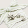 Cordones «Pieles» a rayas verdes y blancas con dijes
