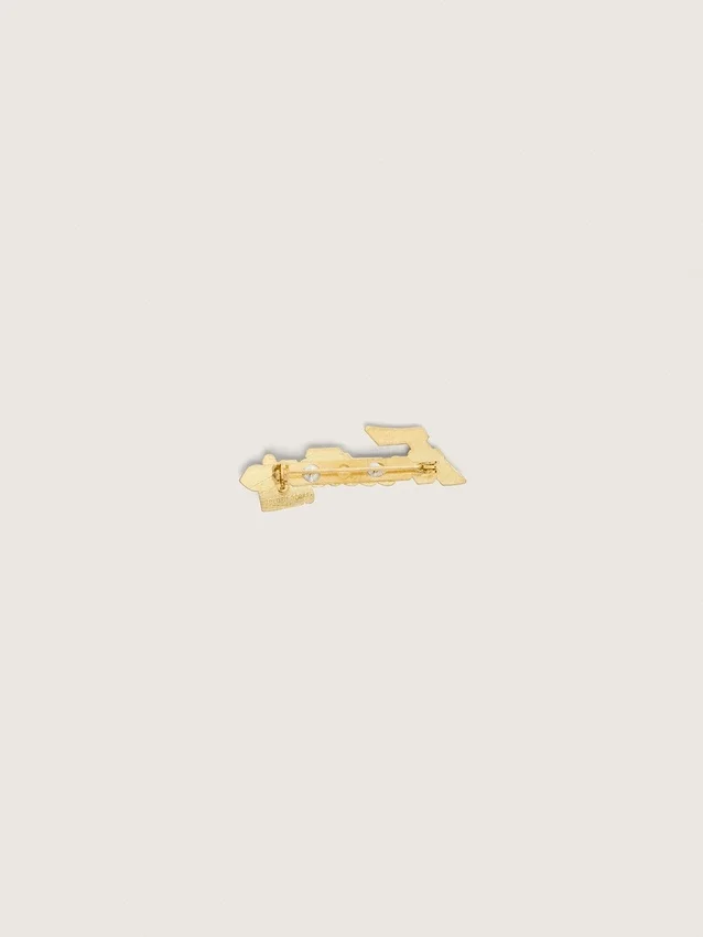 Lote de dos pins «Frutteria Golden»