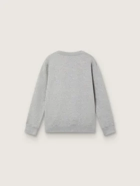 Sudadera de cuello redondo «Journey» para niños, de algodón gris jaspeado con estampado de mascota