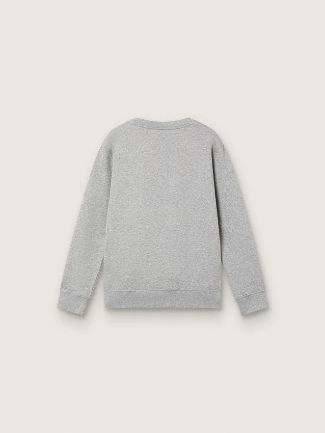 Sudadera de cuello redondo «Journey» para niños, de algodón gris jaspeado con estampado de mascota