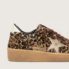 Zapatillas Ball Star para mujer en piel de potro con estampado de leopardo, estrella de piel platino y lengüeta del talón de piel blanca